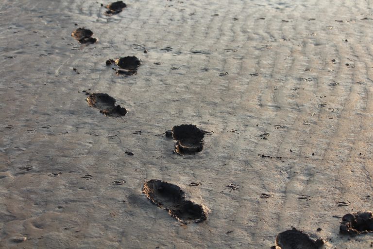footprints-284708_1920